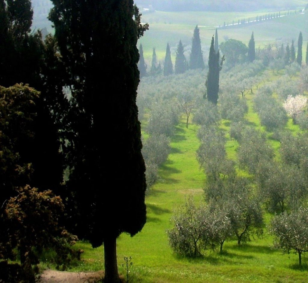 val d'orcia campagna