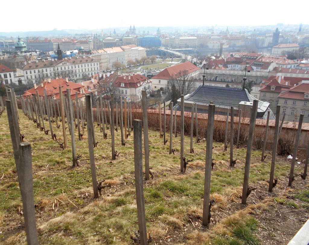 Panorama di Praga dalla vigna di San Venceslao