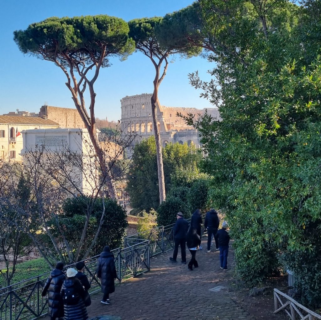 colosseo dal palatino